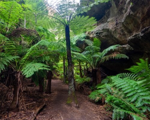 Belle Bois Bed & Breakfast Capertee Valley Blue Mountains NSW